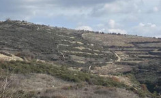 For sale, land, field, Limassol, Arsos, 7,785m&sup2;, &euro;12,000 