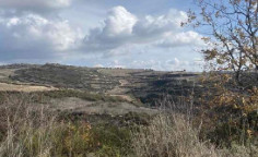 For sale, land, field, Limassol, Arsos, 7,785m&sup2;, &euro;12,000 