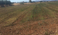 For sale, land, Nicosia, Peristerona, 7,693m&sup2;, &euro;165,000 , Nicosia
