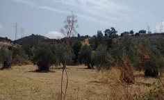 For sale, land, Larnaca, Skarinou, 9,130m&sup2;, &euro;15,000 