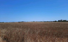 For sale, land, Famagusta, Liopetri, 8,769m&sup2;, &euro;114,000 