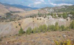 For sale, land, Paphos, Salamiou, 28,763m&sup2;, &euro;27,000 