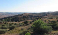 For sale, land, Paphos, pentalia, 8,362m&sup2;, &euro;13,000 