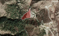 For sale, land, Paphos, Amargeti, 16,054m&sup2;, &euro;14,000 