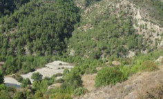 For sale, land, Paphos, Amargeti, 16,054m&sup2;, &euro;14,000 