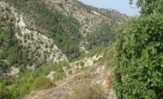For sale, land, Paphos, Amargeti, 29,432m&sup2;, &euro;25,000 