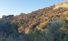 For sale, land, field, Limassol, Agios Tychon, 1,346m&sup2;, &euro;88,000 , Limassol