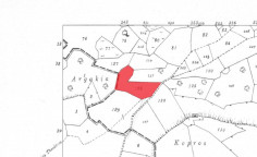 For sale, land, field, Larnaca, Alaminos, 8,027m&sup2;, &euro;26,000 