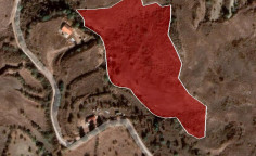 For sale, land, field, Paphos, Episkopi, 16,054m&sup2;, &euro;32,000 