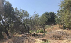 For sale, land, Paphos, Giolou, 2,432m&sup2;, &euro;73,000 , Paphos