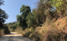 For sale, land, Paphos, Simou, 5,766m&sup2;, &euro;17,000 