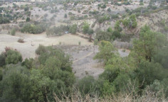 For sale, land, Paphos, Peristerona, 7,358m&sup2;, &euro;10,000 