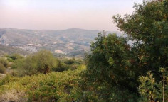 For sale, land, Limassol, Silikou, 4,014m&sup2;, &euro;14,000 