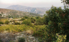 For sale, land, Limassol, Silikou, 3,456m&sup2;, &euro;14,000 