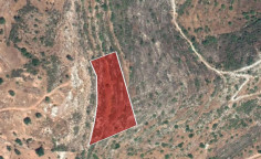 For sale, land, field, Limassol, Pachna, 6,689m&sup2;, &euro;16,000 