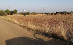 For sale, land, Nicosia, Astromeritis, 4,683m&sup2;, &euro;50,000 , Nicosia