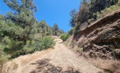 For sale, land, Nicosia, Kakopetria, 8,696m&sup2;, &euro;43,000 