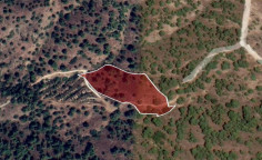 For sale, land, Nicosia, Kakopetria, 8,696m&sup2;, &euro;43,000 