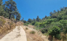 For sale, land, Nicosia, Kakopetria, 8,696m&sup2;, &euro;43,000 