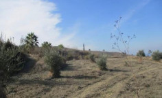 For sale, land, Paphos, Lasa, 11,372m&sup2;, &euro;42,000 