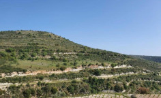 For sale, land, field, Limassol, Arsos, 10,576m&sup2;, &euro;15,000 