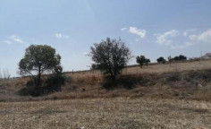 For sale, land, Larnaca, athienou, 2,007m&sup2;, &euro;32,000 , Larnaca