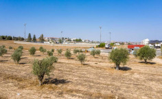 For sale, land, field, Larnaca, athienou, 7,693m&sup2;, &euro;285,000 , Larnaca