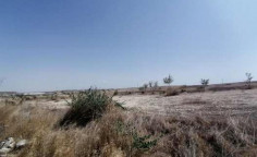 For sale, land, field, Larnaca, athienou, 11,372m&sup2;, &euro;10,000 