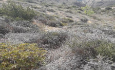 For sale, land, Limassol, Pentakomo, 5,686m&sup2;, &euro;15,000 