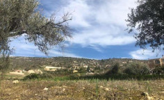 For sale, land, Paphos, Peristerona, 13,379m&sup2;, &euro;21,000 