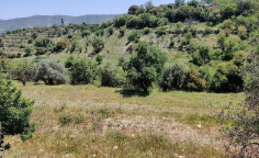 For sale, land, Limassol, Dora, 4,684m&sup2;, &euro;32,000 , Limassol