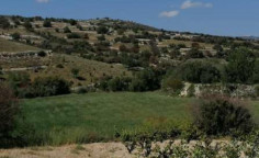 For sale, land, Limassol, Dora, 4,684m&sup2;, &euro;32,000 , Limassol