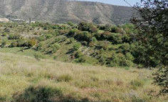For sale, land, Limassol, Dora, 4,684m&sup2;, &euro;32,000 , Limassol