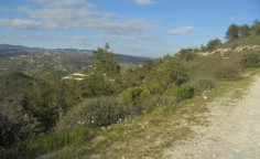 For sale, land, Limassol, Asgata, 27,425m&sup2;, &euro;82,000 