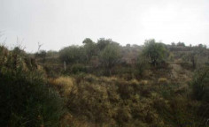 For sale, land, Paphos, Letymvou, 6,021m&sup2;, &euro;19,000 