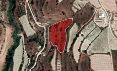 For sale, land, Paphos, Letymvou, 6,021m&sup2;, &euro;19,000 