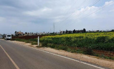 For sale, land, Famagusta, Avgorou, 7,449m&sup2;, &euro;117,000 , Famagusta