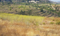 For sale, land, field, Limassol, Pachna, 5,770m&sup2;, &euro;12,000 