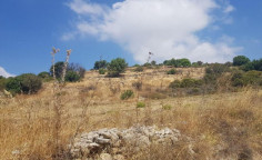 For sale, land, field, Limassol, Pachna, 8,863m&sup2;, &euro;13,000 