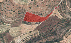 For sale, land, field, Limassol, Pachna, 8,863m&sup2;, &euro;13,000 