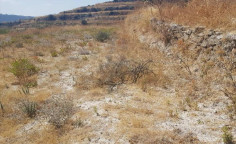 For sale, land, field, Limassol, Pachna, 4,683m&sup2;, &euro;12,000 