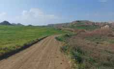 For sale, land, Nicosia, Pera, 13,044m&sup2;, &euro;39,000 