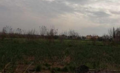 For sale, land, Famagusta, Sotira, 995m&sup2;, &euro;18,000 , Famagusta