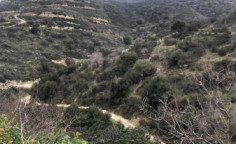 For sale, land, Paphos, Koili, 15,441m&sup2;, &euro;15,000 