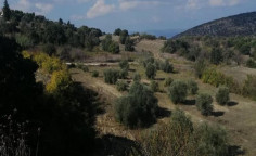 For sale, land, Paphos, Peristerona, 6,355m&sup2;, &euro;102,000 , Nicosia