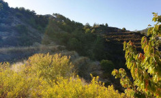 For sale, land, Limassol, Kyperounta, 4,683m&sup2;, &euro;42,000 , Limassol