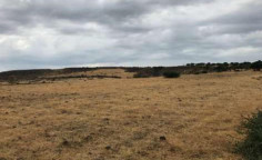 For sale, land, Nicosia, Potami, 5,686m&sup2;, &euro;15,000 
