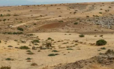 For sale, land, Nicosia, Potami, 5,686m&sup2;, &euro;15,000 