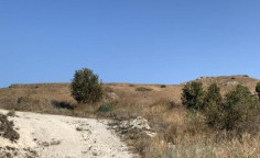 For sale, land, Nicosia, Analiontas, 10,368m&sup2;, &euro;44,000 