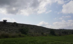 For sale, land, Nicosia, Nisou, 3,754m&sup2;, &euro;11,000 , Nicosia
